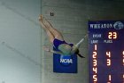 Women's Diving  Wheaton College Women’s Diving vs Mount Holyoke College. - Photo by Keith Nordstrom : Wheaton, Swimming & Diving